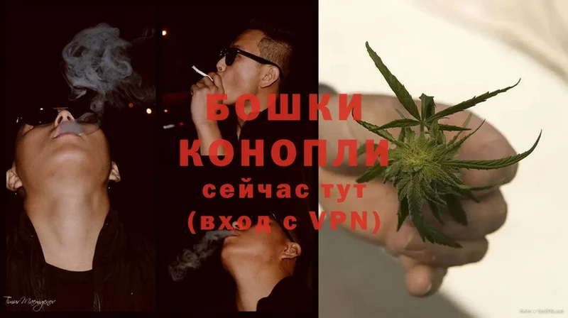 Бошки Шишки THC 21%  Скопин 